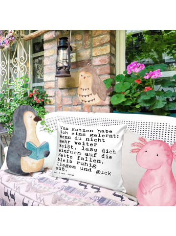 Mr. & Mrs. Panda couch kissen Von Katzen habe ich... mit Spruch in Weiß