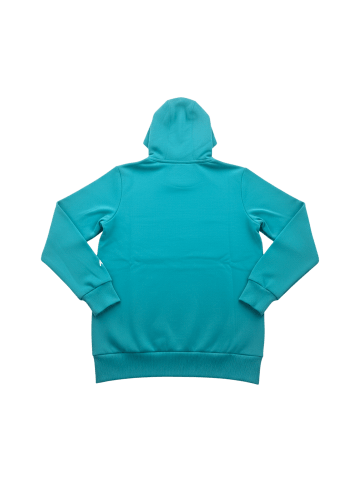 Puma Hoodie MAPF1 ESS in Grün