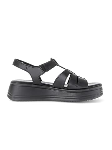 Gabor Plateau Sandalen in schwarz
