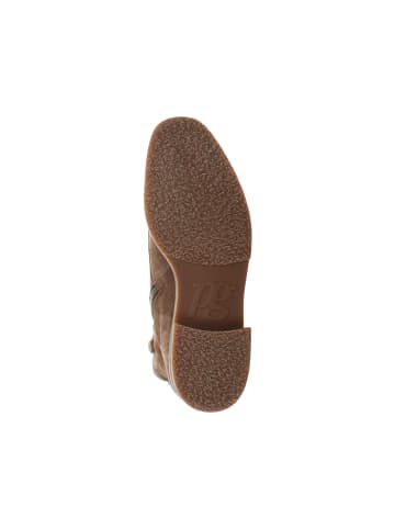 Paul Green Stiefeletten für Damen in taupe