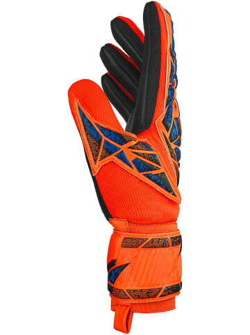 Reusch Torwarthandschuh Attrakt Infinity NC Junior in 2211 hyper orng/elec blue/blck
