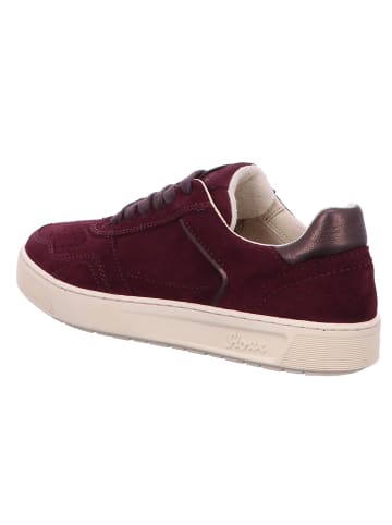 Sioux Sneaker Low in bordeaux