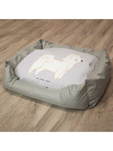 Mr. & Mrs. Panda Hundekissen Havaneser Lebensretter ohne Spruch in Grau Pastell