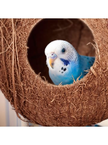 relaxdays 2 x Vogelhaus in Natur