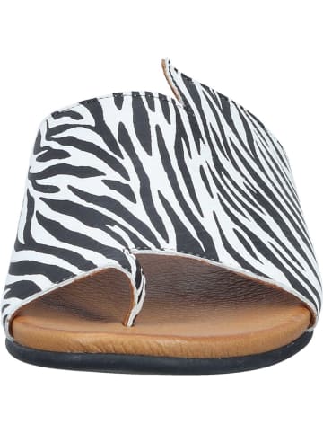 Piazza Klassische Pantoletten, Zehentrenner in multi