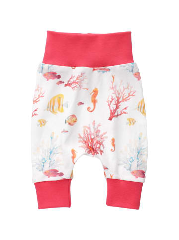 Nini Babyhose Korallen in multicolor