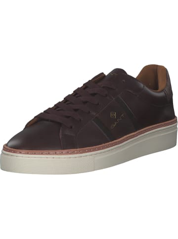 Gant Sneakers Low in braun