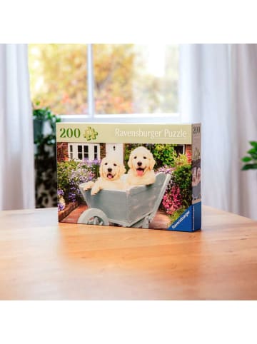 Ravensburger Puzzle 200 Teile Erwachsenenpuzzle 200 Teile - Golden Retriever 9-99 Jahre in bunt