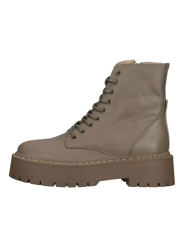 Steve Madden Stiefelette in Beige