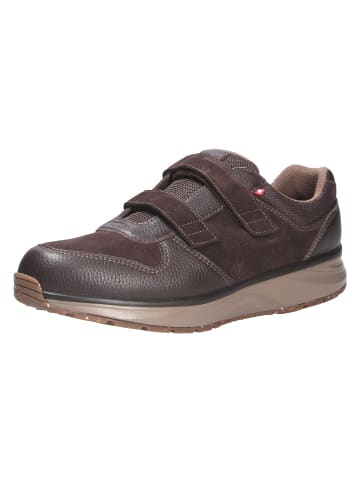 Joya Halbschuh DYNAMO STRAP M DARK BROWN in braun