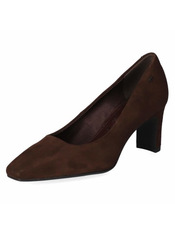 Pumps in braun
