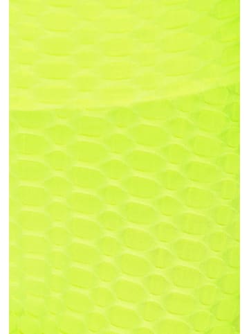 faina Shorts in lime