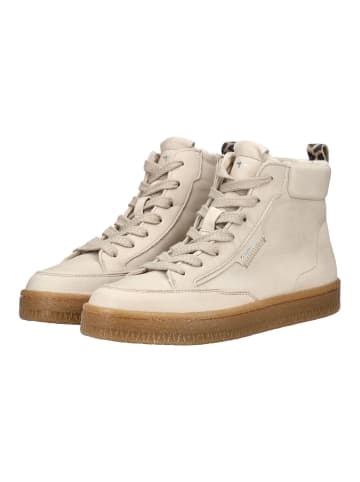 Tamaris Sneaker in Antelope