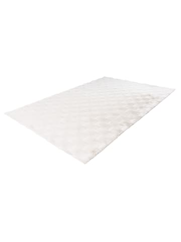 Vivorum Wohnzimmer Teppich – Kurzflorteppich Botany 625 in creme
