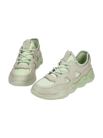 Ecco Sneaker Low in Weiß