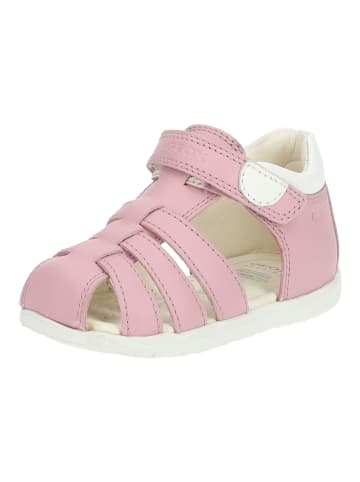 Geox Sandalen in Rosa/Weiß