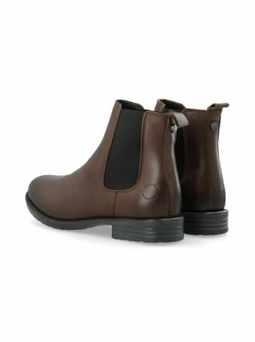 Cashott Stiefeletten CASEMMA in Brown