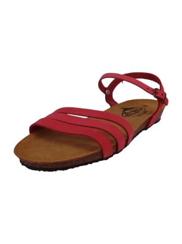 Plakton Sandalen rot