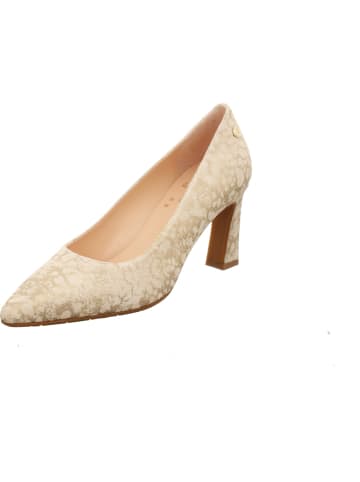 Floris van Bommel Pumps in beige