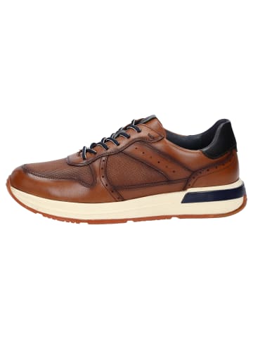 Sioux Sneaker Rojaro-719 in cognac
