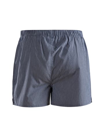 DANISH ENDURANCE Boxershorts Organic Woven in blue/stripes mix