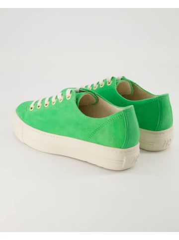 Paul Green Sneaker in Grün