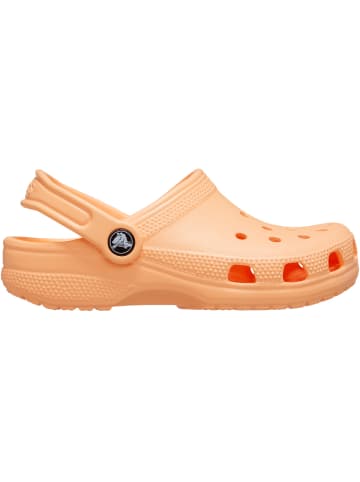 Crocs Clog Classic K in apricot in apricot