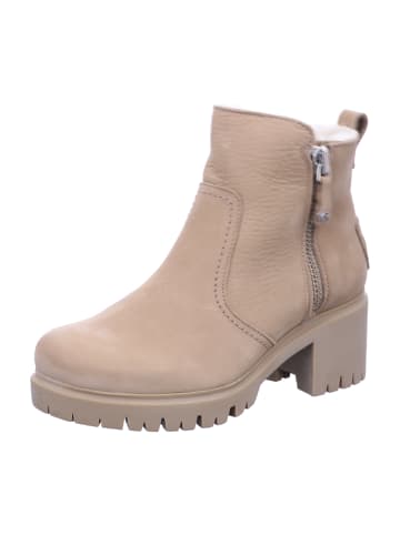 PANAMA JACK Ankle Boots in Beige