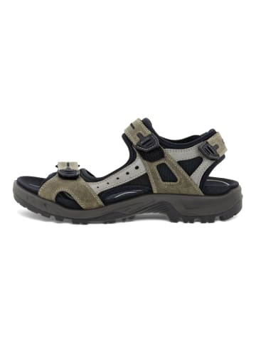 Ecco Sandalen in Grün