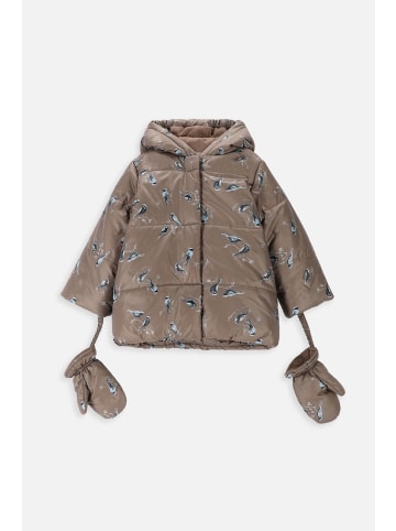 Coccodrillo Winterjacke in braun