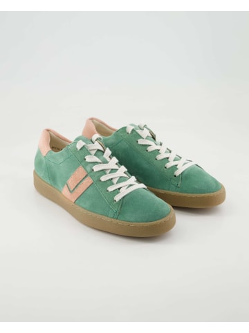 Paul Green Sneaker low in Grün