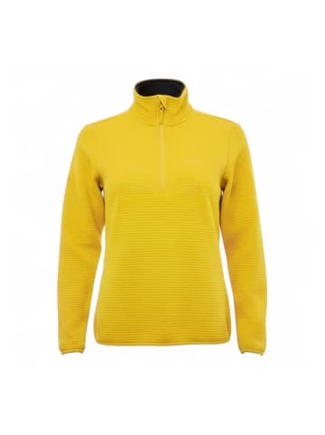 Jack Wolfskin Sweatshirt Modesto Halfzip Shirt Herren Fleecejacke Sweatshirt in Grün