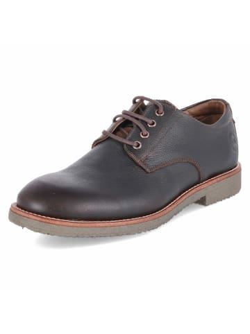 PANAMA JACK Schnürhalbschuh in brown