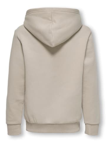 ONLY & SONS Junior Kapuzenpullover in Silver Lining