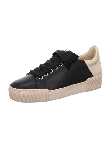 Högl Sportliche Schnürschuhe in Schwarz