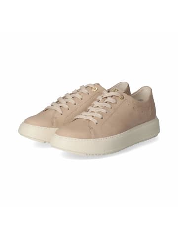 Paul Green Low Sneaker in Beige