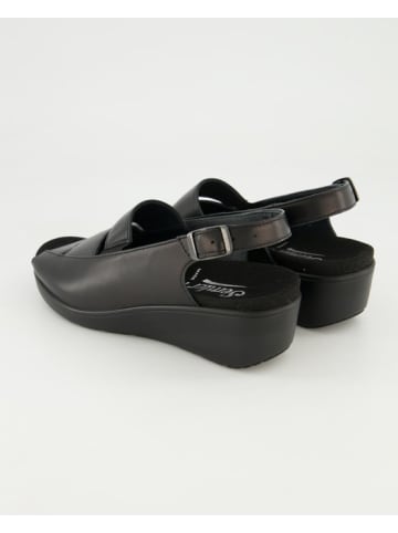 Semler Wedges in Schwarz