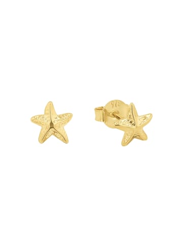 Amor Ohrstecker Gold 375/9 ct in Gold