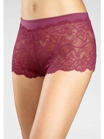 Vivance by Lascana Panty in bordeaux, schwarz