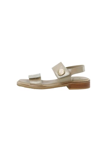 Cashott Sandalen CASGRACE in Taupe