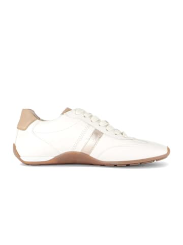 Gabor Sneaker low in creme