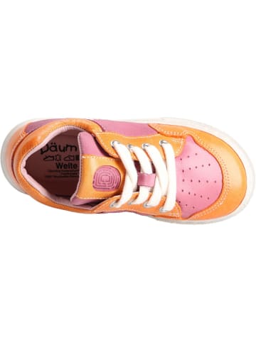 Däumling Lauflernschuh Bradey in rosa