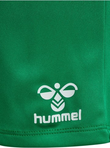 Hummel Kinder Short "Essential Shorts" in Multicolor