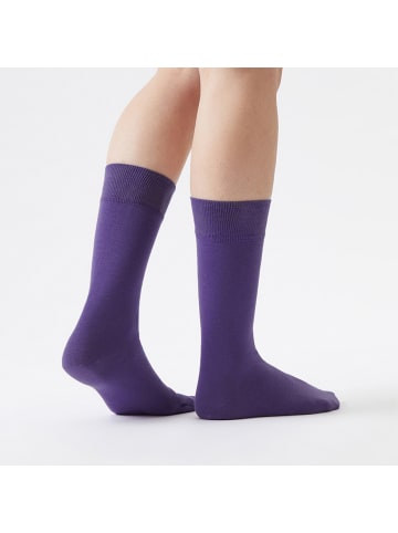 von Jungfeld Classic Socken-Set Signature Innenbund in Sechser im Lotto