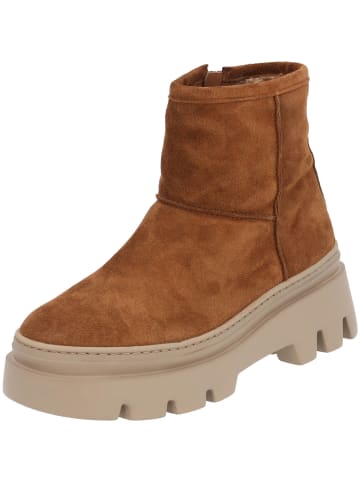 Paul Green Winterstiefeletten in toffee