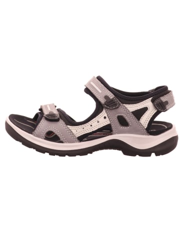 Ecco Outdoorschuh in grau