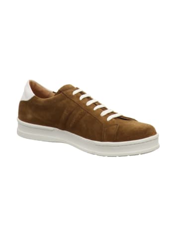 Aldo Brue Schnürschuhe in braun