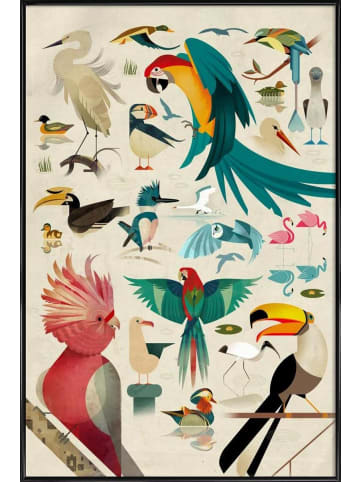 Juniqe Poster in Kunststoffrahmen "Birds" in Bunt