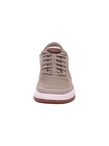 Skechers Herrenschnürschuhe halb modisch ( adidas etc ) CORLISS - DORSET in  Beige