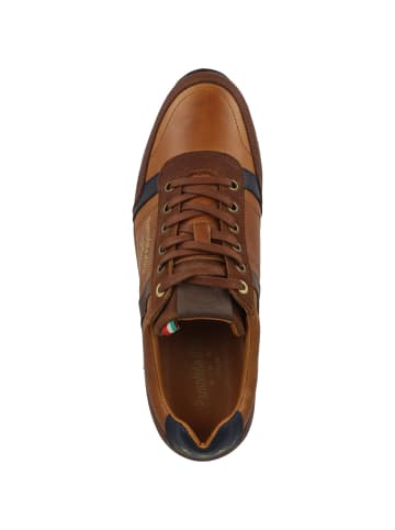 Pantofola D'Oro Sneaker low Matera 2.0 Uomo Low P in braun